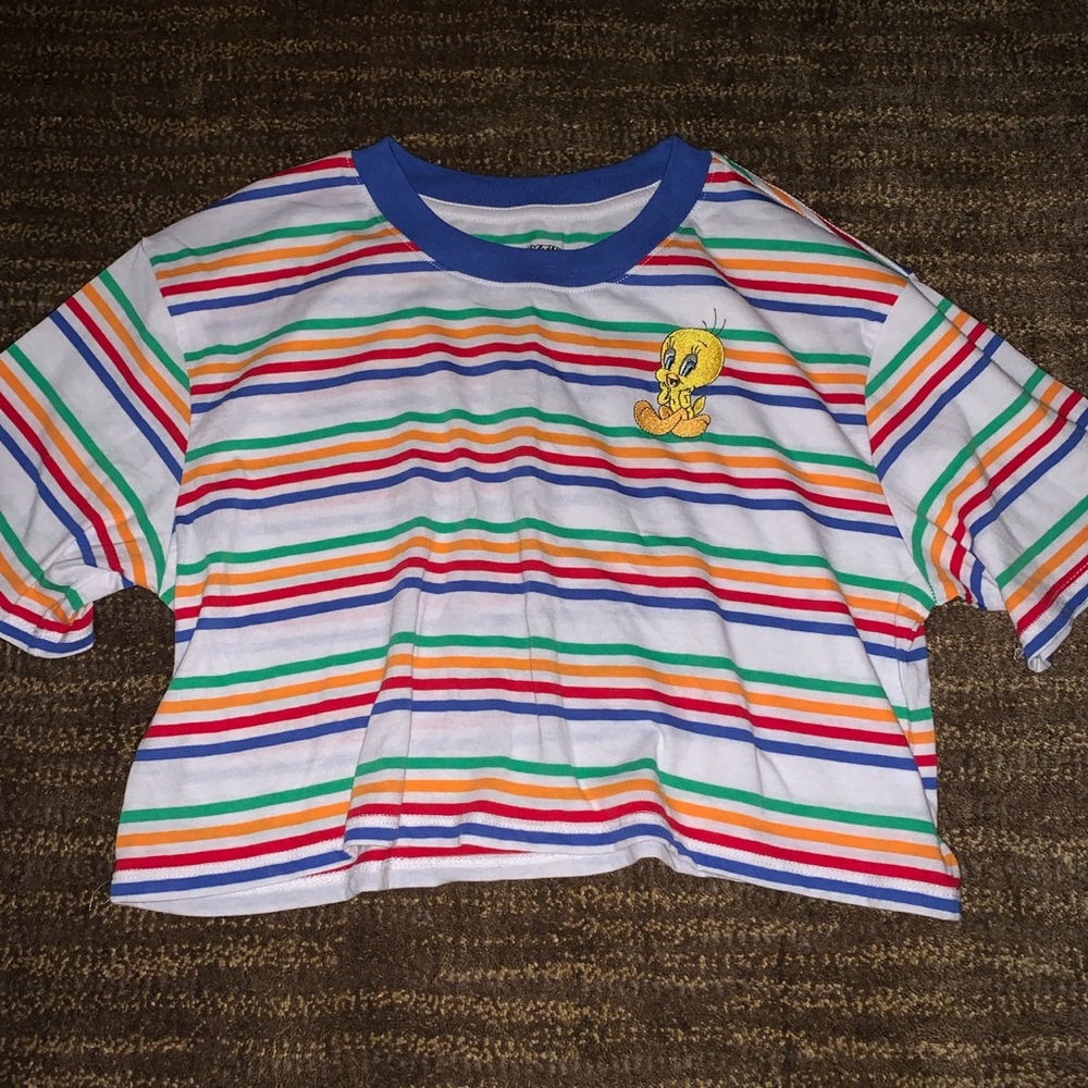 Looney Tunes Crop Top